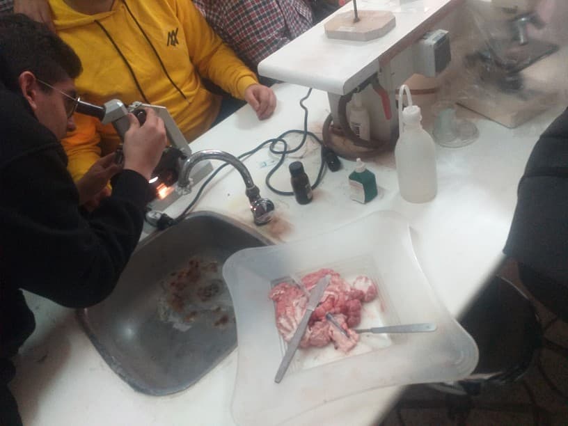بازدید از پژوهش سرا و تشریخ مغز توسط دبیر زیست شناسی